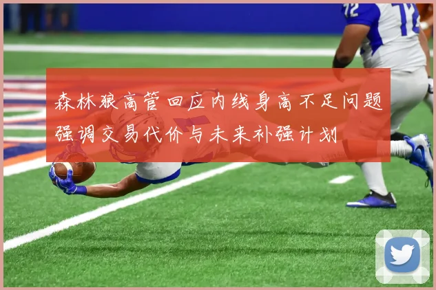 森林狼高管回应内线身高不足问题强调交易代价与未来补强计划